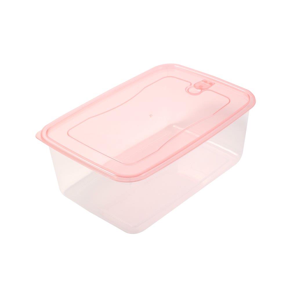 Multipurpose Clear Colour BPA Free Lunch Box Plastic Storage Box Food Container 2800 ml 25*17.6*9.5