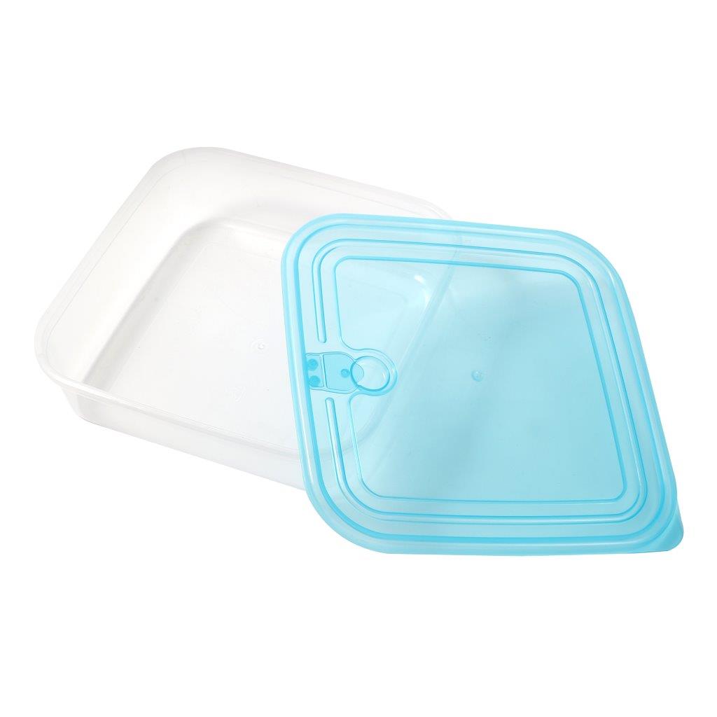 Multipurpose Clear Colour BPA Free Lunch Box Plastic Storage Box Food Container 650 ml 15.3x15.3x4.75cm
