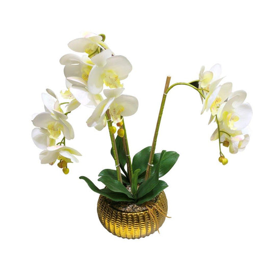 Realistic Touch Artificial Moth Orchid Flower Deco Metal Artistic Pot 50 cm