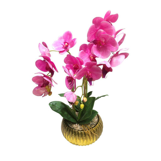 Realistic Touch Artificial Moth Orchid Flower Deco Metal Artistic Pot 50 cm
