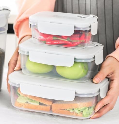 Multipurpose Mixed Colors Plastic Storage Box Food Container Set of 3 Pcs 21x15.5x7 1300 ml17x13x6.5