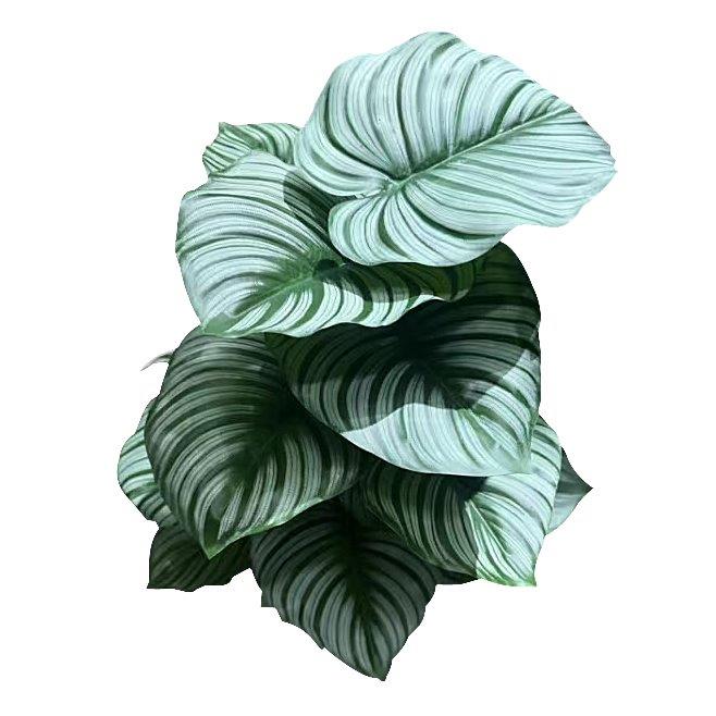 Realistic Touch Artificial Plant Flower Pot Home Interior Deco 70 cm