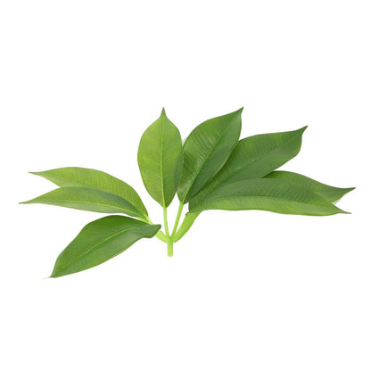 Realistic Touch Artificial Plant Flower Pot Home Interior Deco 120 cm