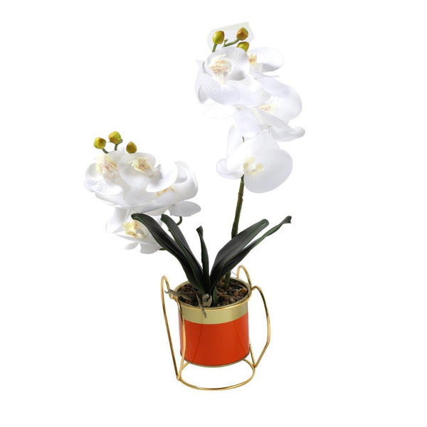 Realistic Touch Artificial Moth Orchid Flower Deco Artistic Pot 45 cm